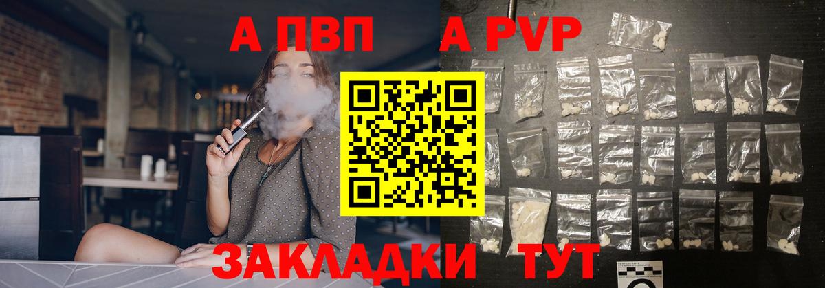 A PVP СК КРИС Нововоронеж