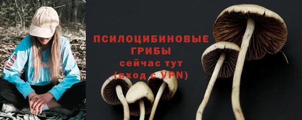 спиды Алексин