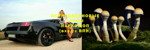спиды Алексин