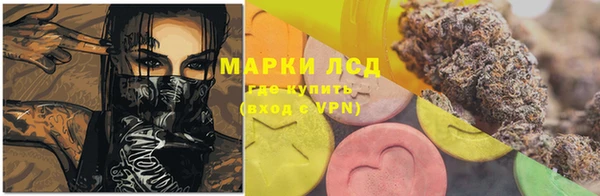 амф Алзамай
