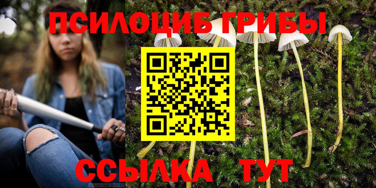 Нововоронеж  Галлюциногенные грибы мухоморы  Псилоцибиновые грибы Psilocybe  Вход с VPN 