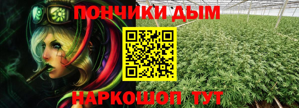 Бошки Шишки Amnesia  Вход с VPN  Нововоронеж  МАРИХУАНА Amnesia  Бошки марихуана планчик  Канабис планчик 
